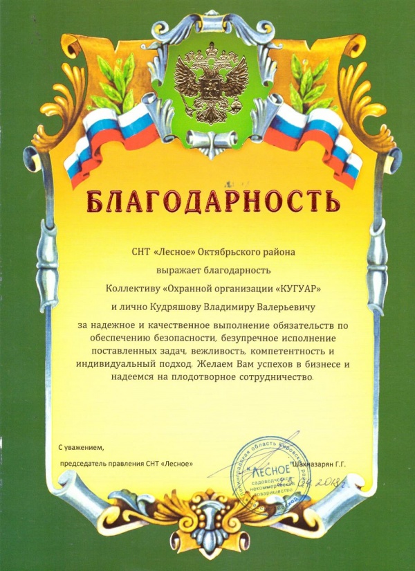 01420 СНТ «Лесное» Октябрьского района